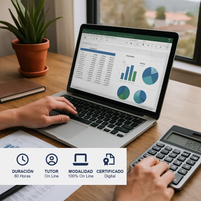 Curso de Excel Básico y Administrativo